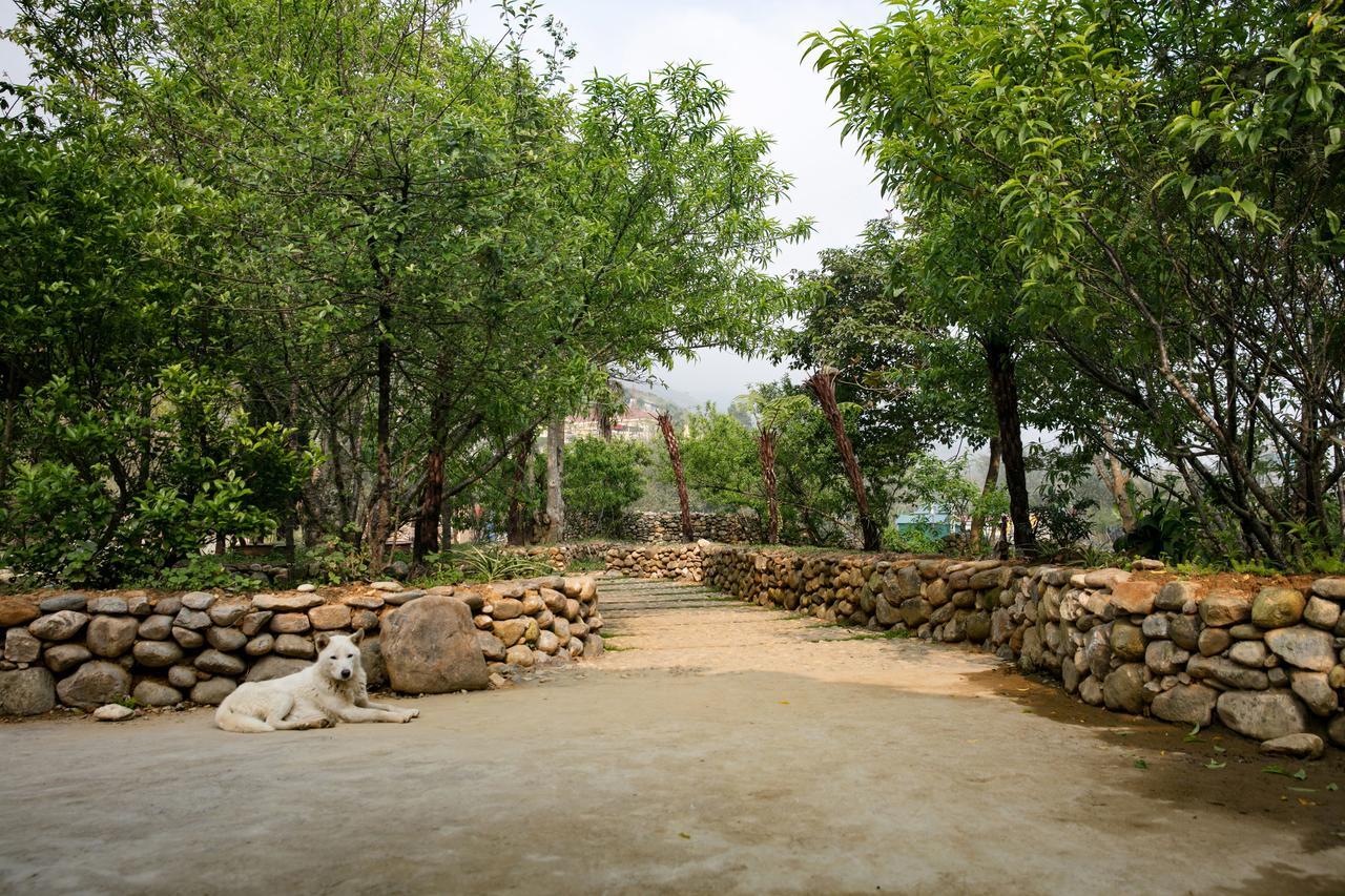 Tavan Riverside Ecolodge Sa Pa Ngoại thất bức ảnh